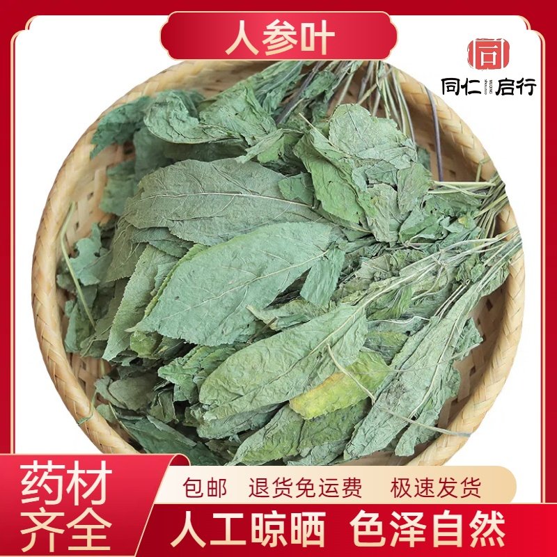 人参叶中药材500g正品旗舰店山参叶野生长白山人参茎叶干货泡水喝