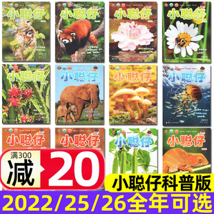 2026年1 8岁兴趣儿童科普百科动物过刊 小聪仔 12月全年订阅2 2025 杂志2022 科普版 多年份可选