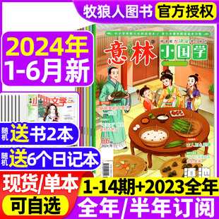 新刊现货 意林小国学杂志2024年1 全年 12月 15岁青少年旗舰店过刊 2023年1 6月 14期创刊号少年版 半年订阅 15周年作文素材7