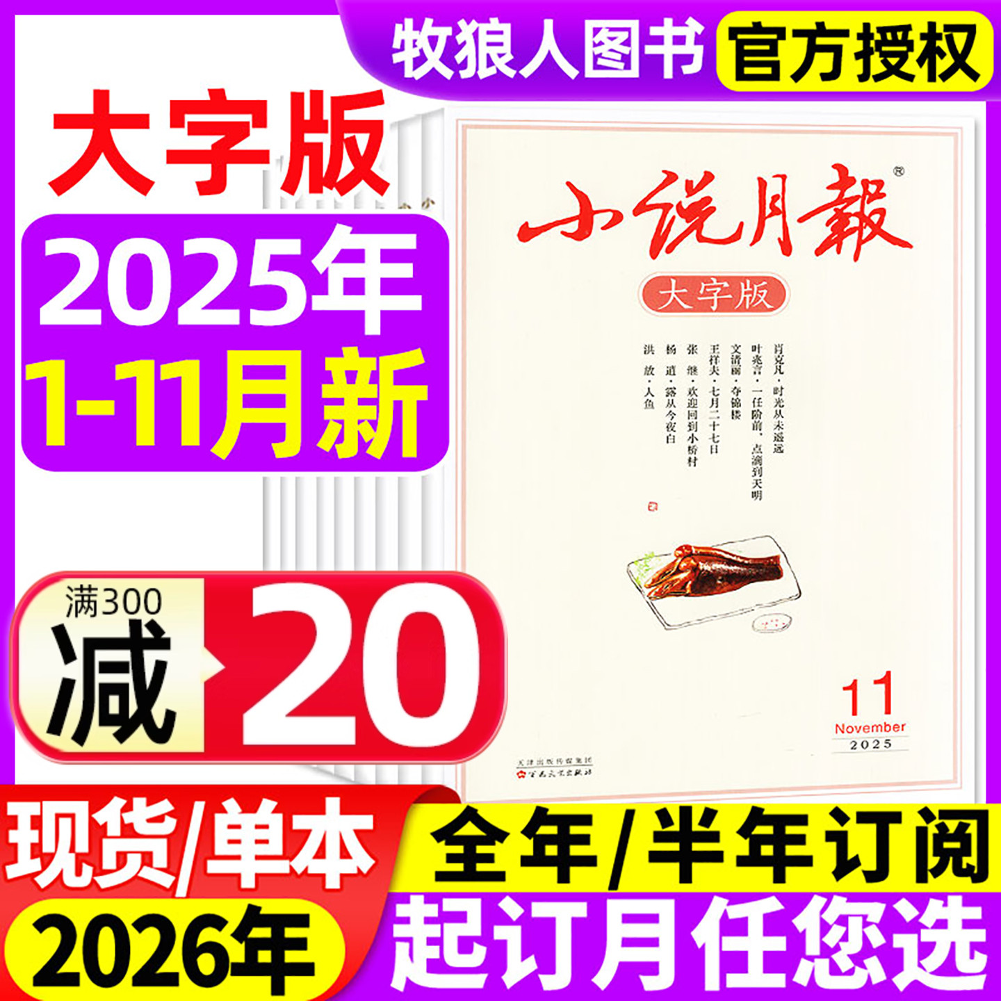小说月报大字版25年1-11月26订阅