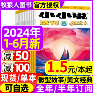 小小说选刊杂志2023/2024年