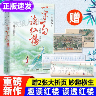 一字一句读红楼正版书籍 少年怒马著红楼梦解读版 少年读红楼导读与赏析古诗词赏析少年读经典红楼梦随笔在红楼里读懂中国