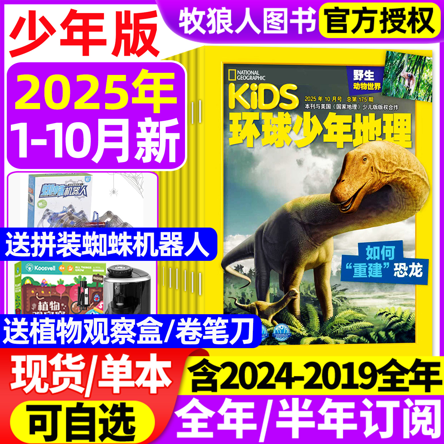 环球少年地理少儿25年10月26订阅
