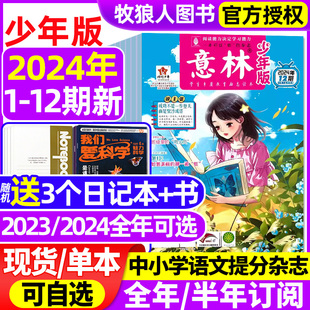 意林少年版 6月 12期1 杂志2024年1 24期 2023 2022年1 全年 12月1 半年订阅 官方旗舰店初中小学生作文素材小国学励志合订本过刊