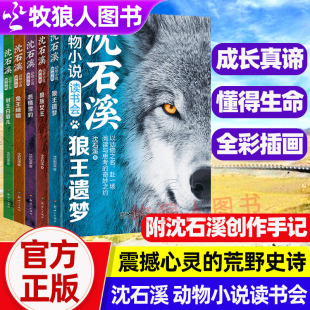 认准正版沈石溪动物小说读书会全套5册狼王遗梦狼族女王悲情雪豹兔王绝唱豺王白眉儿新版沈石溪动物小说狼王梦画本6-15岁儿童阅读