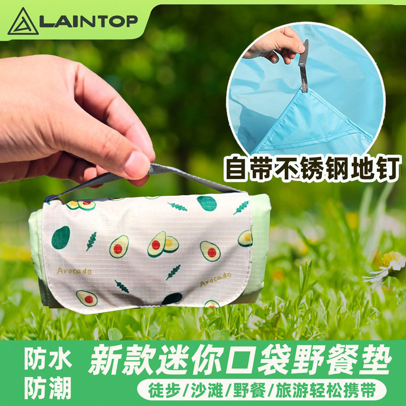 旅游野餐垫便携沙滩垫户外神器露营垫防潮垫小尺寸旅行春游垫子