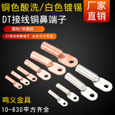 DT-10/16/25/35/50-630国标/非标齐全镀锡铜色铜鼻端子10只起包邮