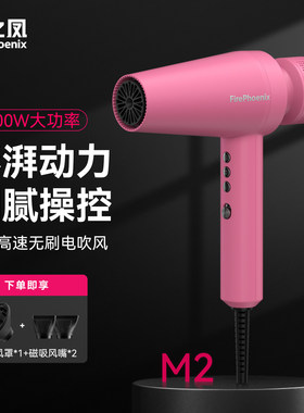 火之凤M2大功率负离子吹风机