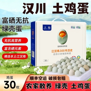 新鲜鲜土鸡蛋湖北汉川特产农家散养土鸡蛋新鲜现发