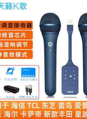 天籁K歌 MM-9P无线麦克风家用适用于tcl爱普生丰田车雷鸟海信电视