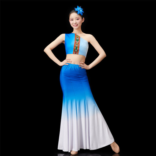 傣族舞蹈演出服装女艺考服傣族孔雀傣族舞蹈裙练功裙鱼尾半身裙