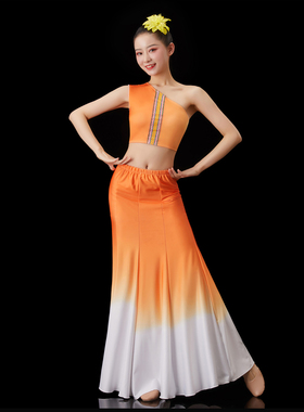 傣族舞蹈演出服装女艺考服傣族孔雀剧目舞蹈裙练功裙鱼尾半身裙