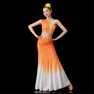 傣族舞蹈演出服装 女艺考服傣族孔雀剧目舞蹈裙练功裙鱼尾半身裙