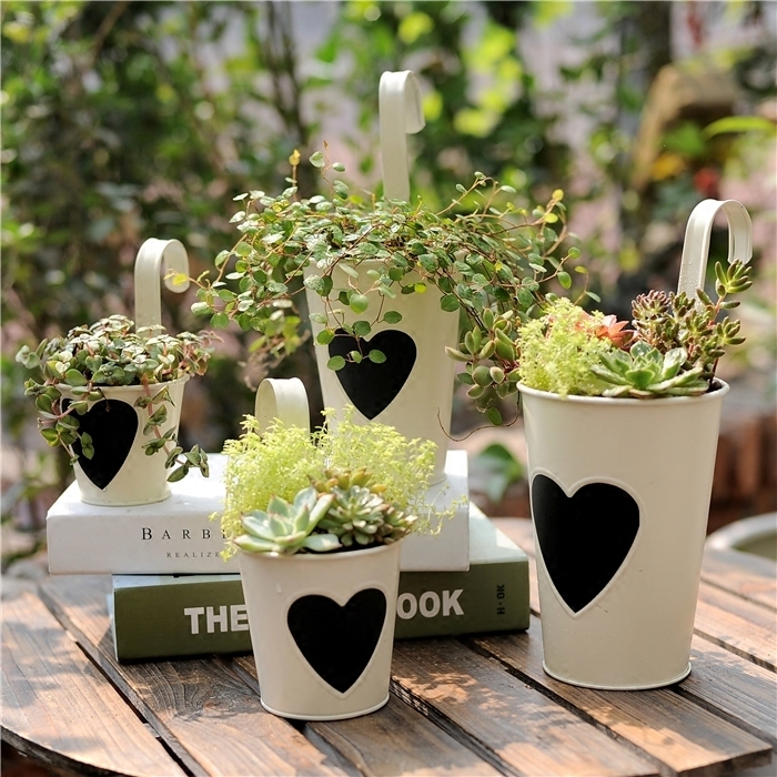 复古铁皮多肉花盆花器