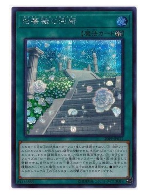 ()游戏王 N UR SER 20PP-JP011 白蔷薇回廊