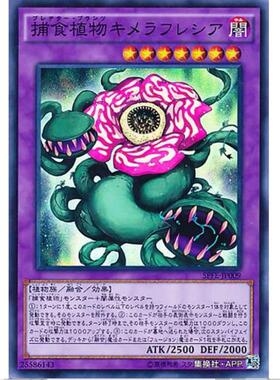 游戏王 捕食植物 奇美拉大花草 SPFE SP6 融合执行者 日文 SR