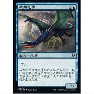 万智牌 MTG 多明纳里亚重制版 DMR 翱翔龙兽 简中