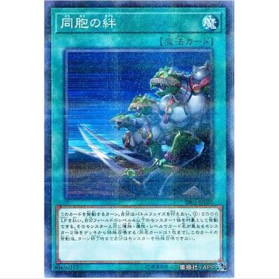 【超牌】游戏王 同胞的牵绊  SR05 神光的波动 日文 NPR