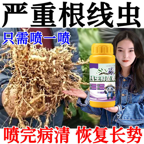 农用根结线虫专用药清根结根瘤根线虫地下微生物菌剂大棚果蔬通用