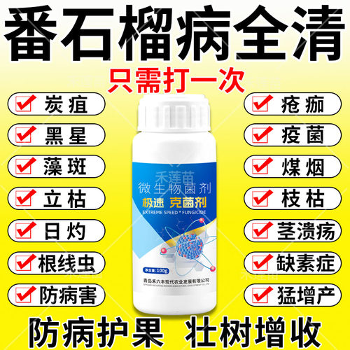 番石榴专用番石榴炭疽叶枯干枯果腐溃疡病微生物菌剂番石榴病防治