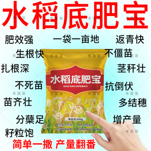 正品水稻底肥宝【1袋1亩】水稻种植专用改良土壤促进生根全面营养