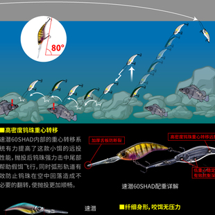 DNE去路亚速潜60SHAD深水缓浮米诺路亚饵假饵8.3克翘嘴鲈鱼鳜鱼饵