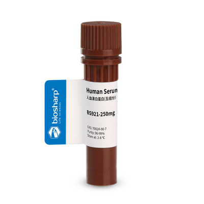 白鲨人血清白蛋白五组份