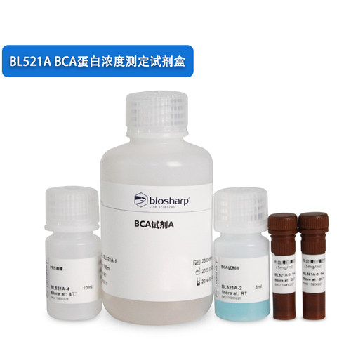 500TBCA蛋白浓度测定试剂盒