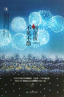 烟花夜不见不散