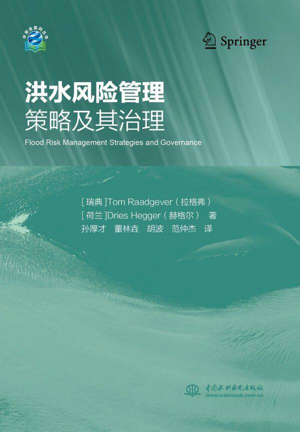 洪水风险管理策略及其治理/水安全系列丛书怎么样,好用不?
