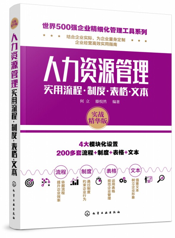 人力资源管理实用流程制度表格文本 实战精华版 世界500强企业精细化管理工具系列 人力资源管理人员图书 随查随用工具手册