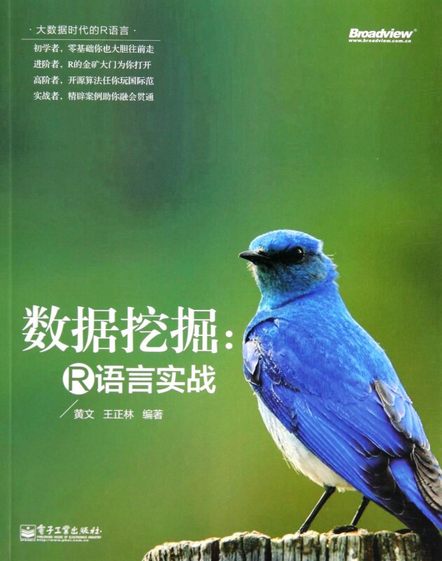 数据挖掘--R语言实战(大数据时代的R语言)