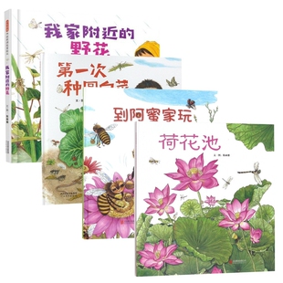 到阿蜜家玩+荷花池+第一次种圆白菜+我家附近的野花 共4册