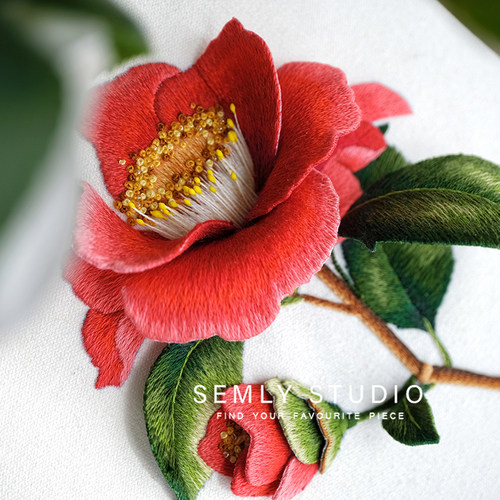 SEMLY进口绣线绝美刺绣材料包