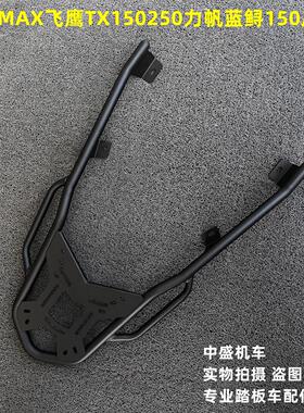 适用天鹰TX150/250尾翼力帆蓝鲟林海L-MAX摩托车尾箱架后货架扶手