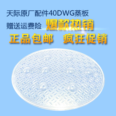 蒸盘蒸板椭圆形塑料40DWG