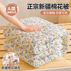 A类母婴级新疆棉加厚保暖冬被