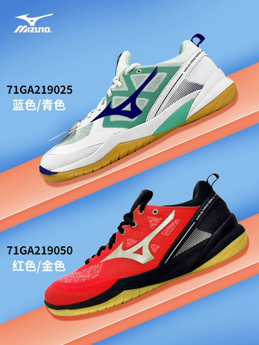 Mizuno Meto Profession