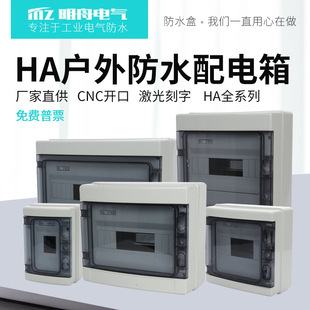 防水配电箱家用小型空开漏电盒室外开关盒户外防雨防尘 HA回路明装