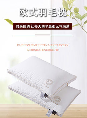 伊伊爱ZX-9YSR-005 白色欧式羽毛枕头枕芯白色48*74cm(个) DL