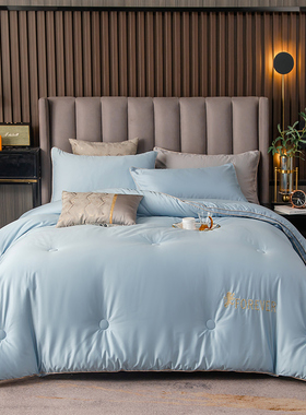 伊伊爱BZ0TDC2100837 澳棉100支大豆秋冬被 200*230cm