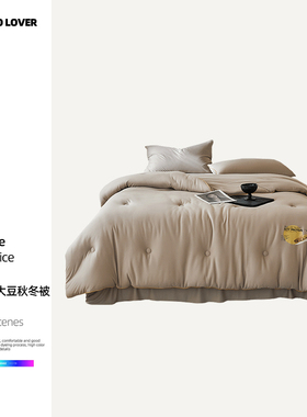 伊伊爱BZ0TDC2401250 云柔针织20大豆秋冬被 150*200cm/3斤