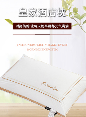 伊伊爱ZX-9YSR-004全棉拼色边酒店枕头枕芯白色48*74cm(个)DL