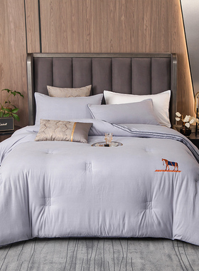 伊伊爱BZ0TDC2100840 甄柔棉雕花大豆秋冬被 180*220cm