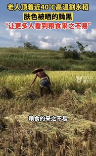 园林纯汽油四冲程水大芝麻棚割小麦青稻稞草汽油多功能玉米收割机