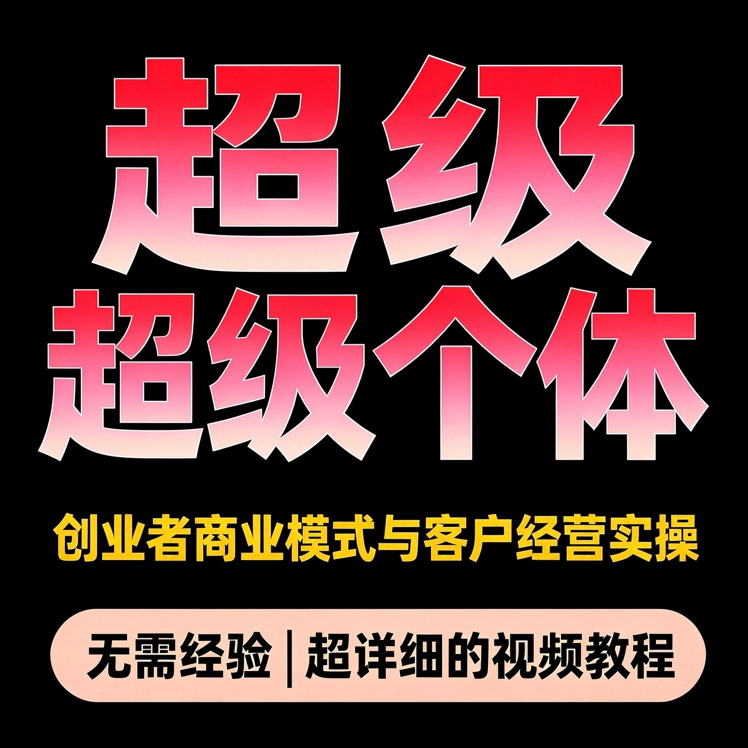 超级个体案例分析 创业者商业模式与客户经营实操 方法资料
