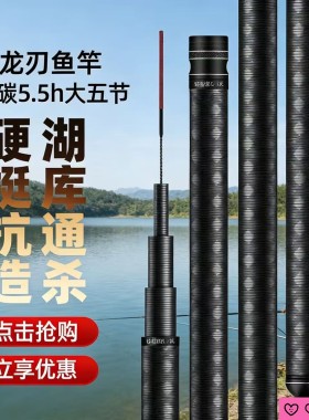 黑棍钓鱼竿手竿5h台钓竿超轻超硬