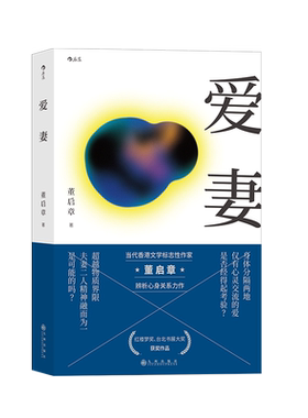 后浪正版 爱妻 董启章 香港作家华文文学 脱离了肉体爱情还存在吗 两性言情小说书籍