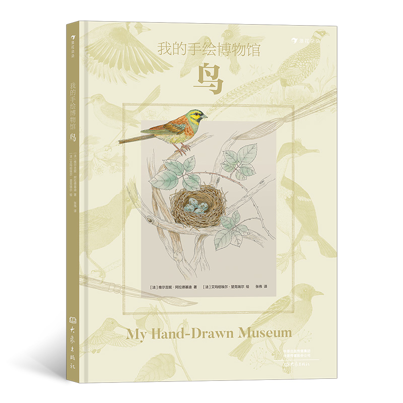 后浪正版 我的手绘博物馆 鸟  7岁以上鸟类动物飞行自然博物学博物画书籍 浪花朵朵童书