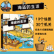 探险 故事书系列 海盗船 11岁宝宝玩具书 冒险书籍 生活 大海 启蒙早教 后浪正版 绘本书 海盗